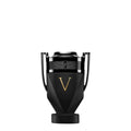 V5H58B5EDA58035458F4C85539FB99FA578R6084036P1